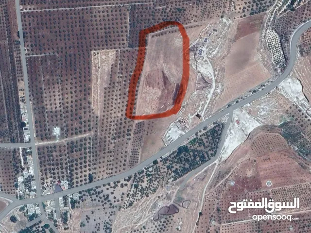 Farm Land for Sale in Irbid Other