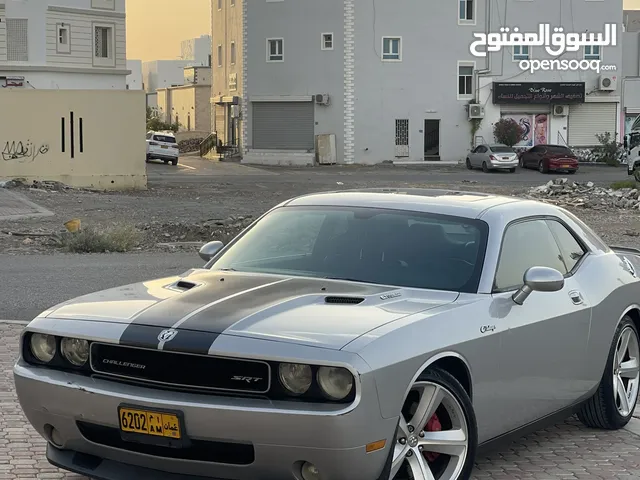 New Dodge Challenger in Muscat