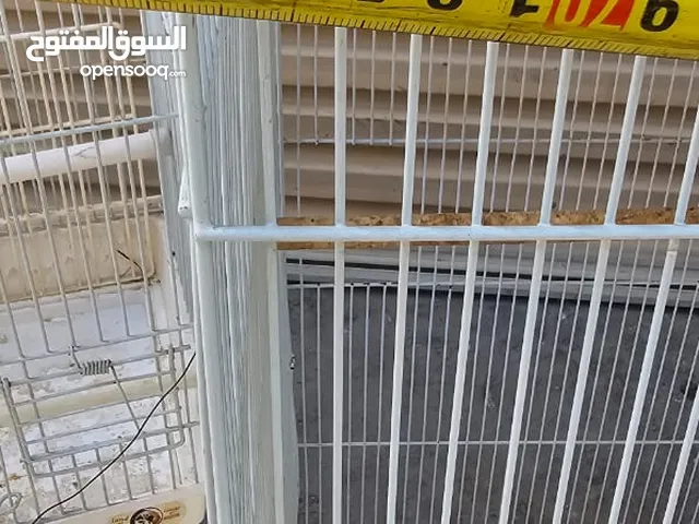 مستلزمات طيور