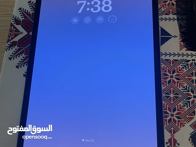 iPad Pro M4