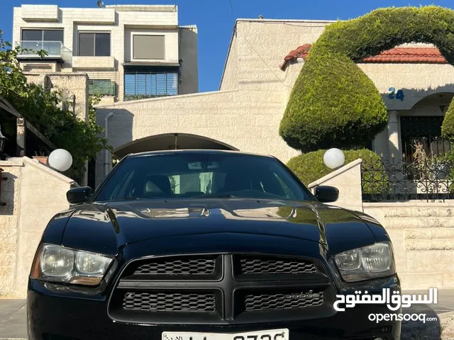 Used Dodge Challenger in Amman