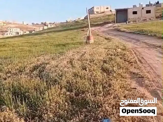 9 قطع أراضي للبيع جريبا _جوفة ذياب - قرب مسجد غياض الحمايدة