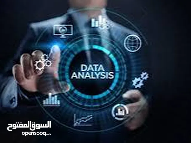 محلل بيانات Data Analyst