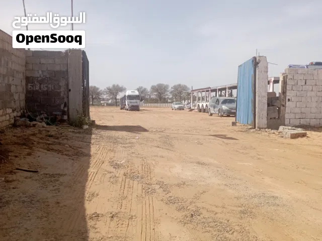 هكتار على رئيسي تاجوراء للايجار.. اقرأ الإعلان اكويس تلقى التفاصيل