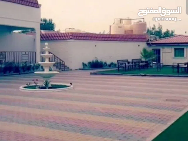 للايجار اليومي جاخور بالهجن كبد