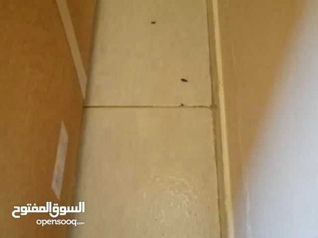 شركة مكافحة حشرات