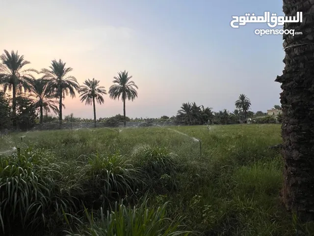 للبيع مزرعه قائمه في السويق ضيان الجهاور بها إستراحه بئر مصرح ماء عذب بمساحة 5980 متر