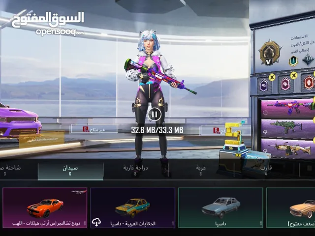 Pubg Accounts and Characters for Sale in Ajman