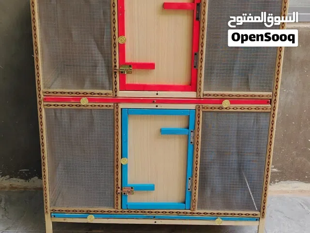 حاضنة افراخ دجاج جديده استخدام عشرة ايام