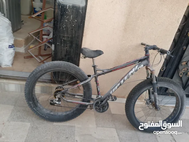 بسكليت جبلي