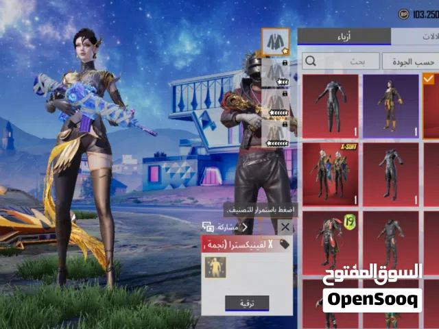 Pubg Accounts and Characters for Sale in Basra