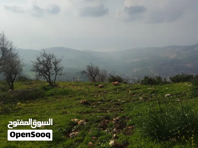 Farm Land for Sale in Ajloun Other