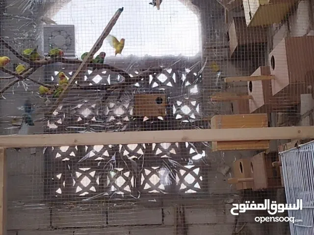 او محميه او حضيره متكامله