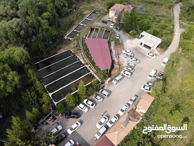 فرصة استثمارية فاخرة في قلب الطبيعة نيدة(Çamardı Niğde) مزرعة سلمون مرقط وسياحة جبلية —ديميركازيك