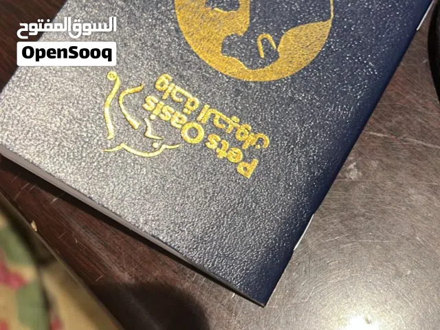 هاسكي بيور ذكر