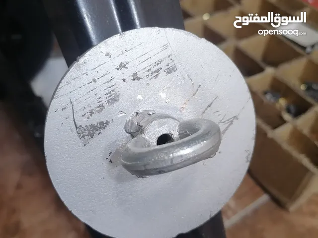 مغناطيس اصلي
