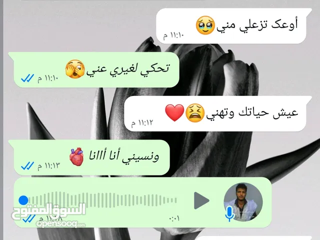 الرسم ولوحات فنب