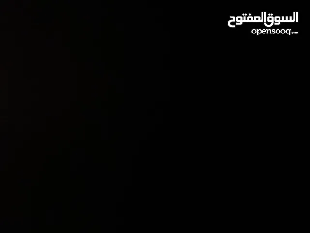 مطلوب كلب للتبني ما يهم اي نوع الي عنده يتواصل خاص