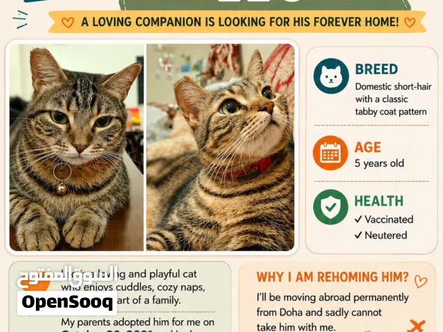 Free Adoption My Leo Baby