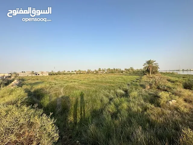Farm Land for Sale in Basra Al-Hartha