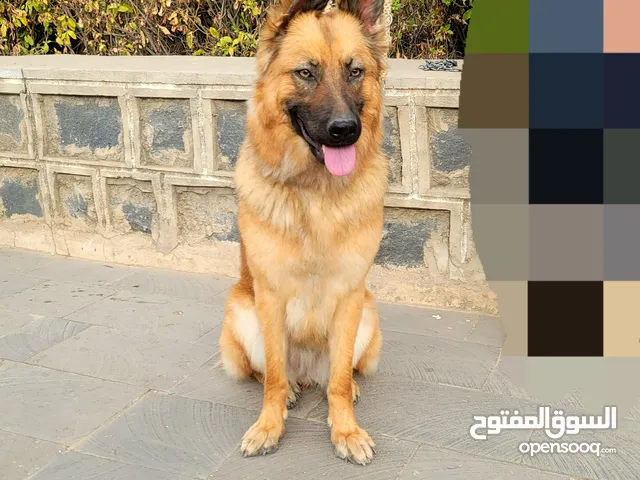 حاجة راقية جدآ