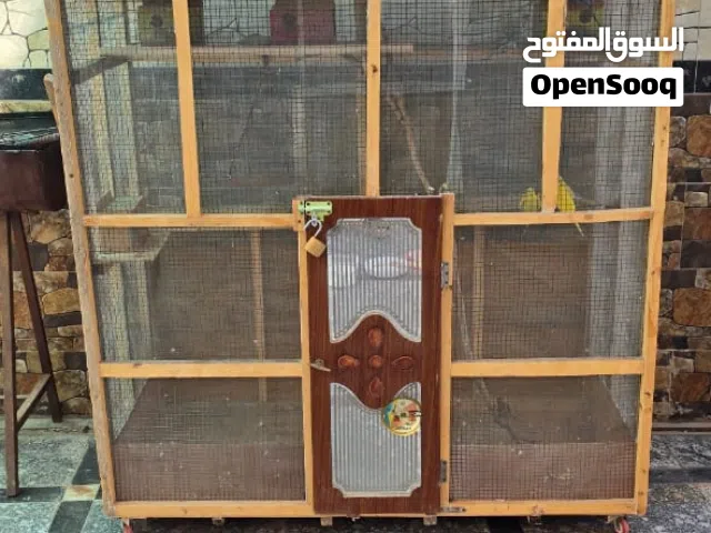 قفص مع طيور الحب مختلفة الصنف منها زوج هولندي اصلي ابو الكركوشه وحبري اللون ...العدد11