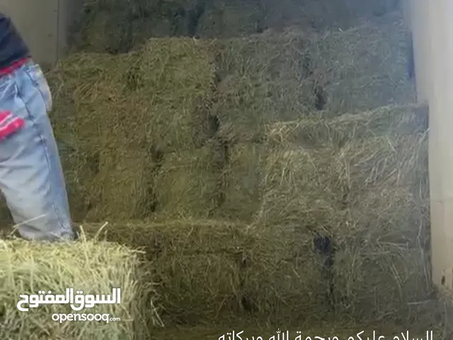 برايد جت توصيل للكميات في حدود ولايه صحار