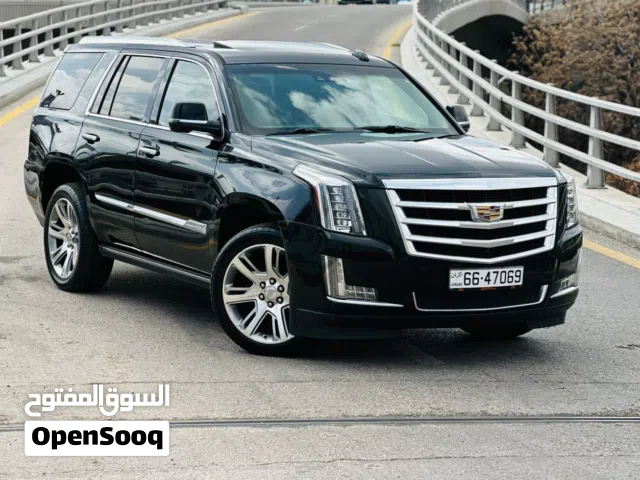 2015, كاديلاك, اسكاليد, ESV Platinum