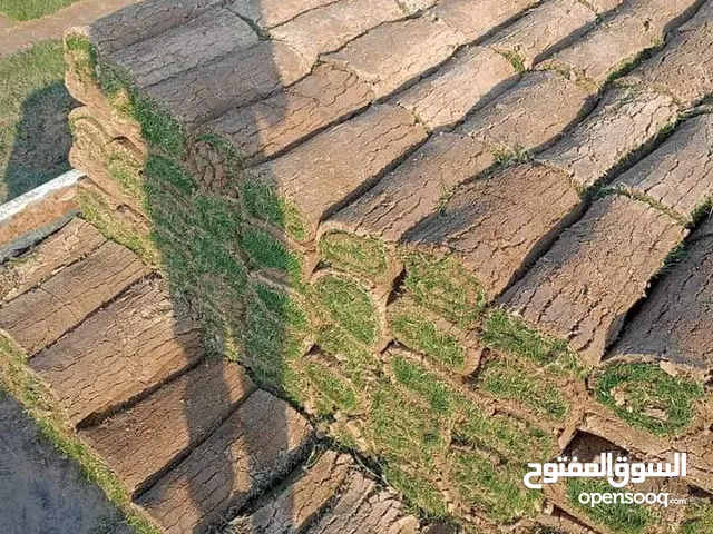 ثيل طبيعي هندي درجه اولى