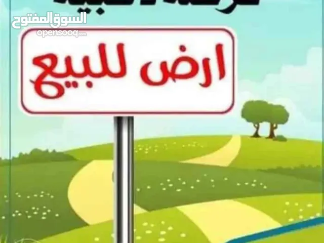 1800 زيتونه للبيع في معتمدية الصخيره للبيع