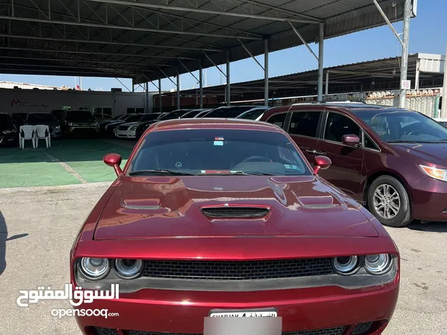 Used Dodge Challenger in Ajman