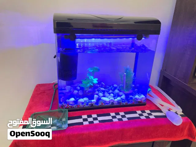 Aquarium with stand