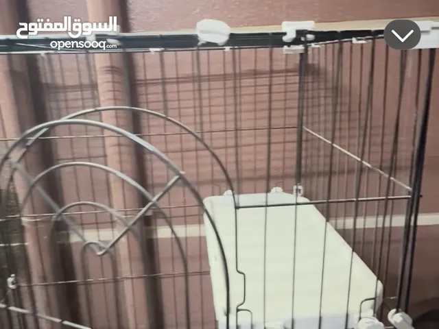 قفص القطط بيت العياله
