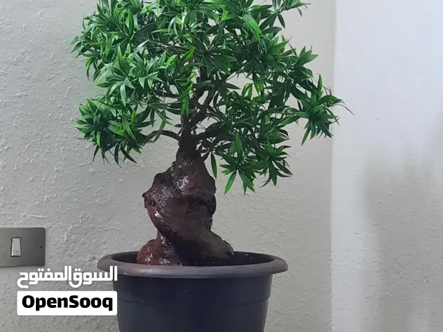 شجر صناعي وباقات
