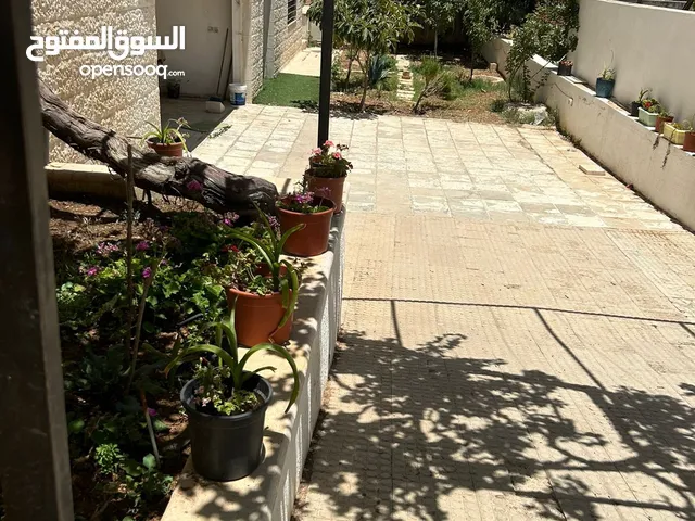 شقة للإيجار / دابوق