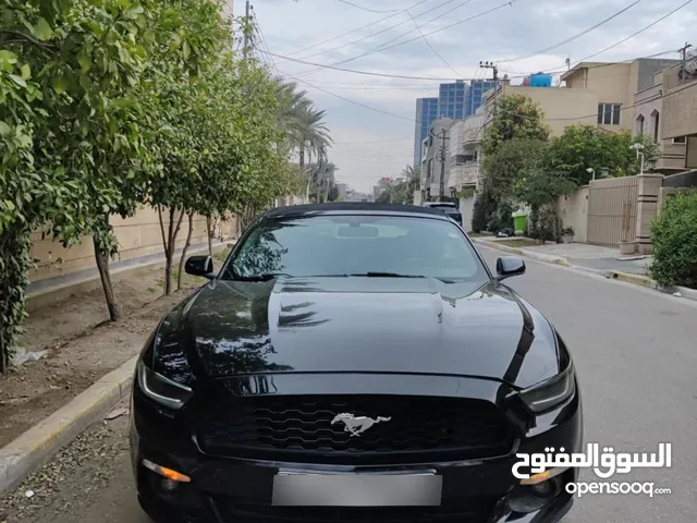 موستنك كلين 2015