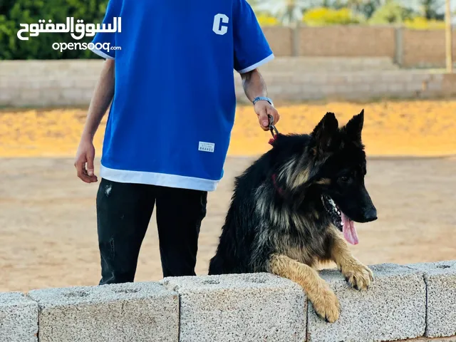 متاح الي تكسيب