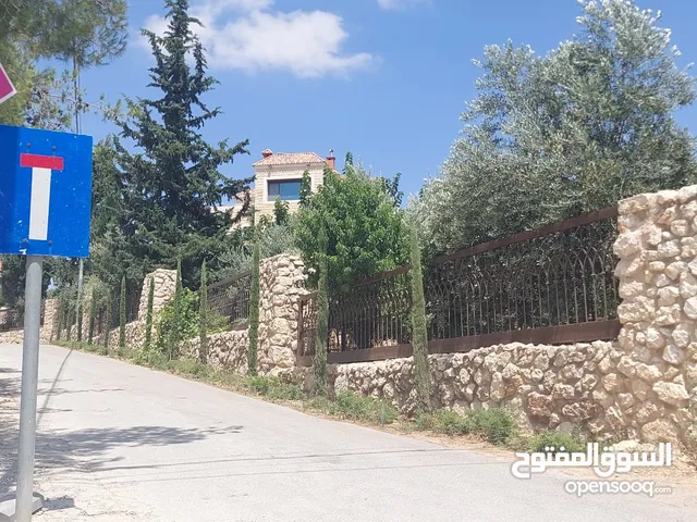 Residential Land for Sale in Amman Mahes