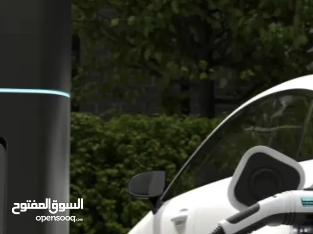Expert EV Charger Installation & Repair Services