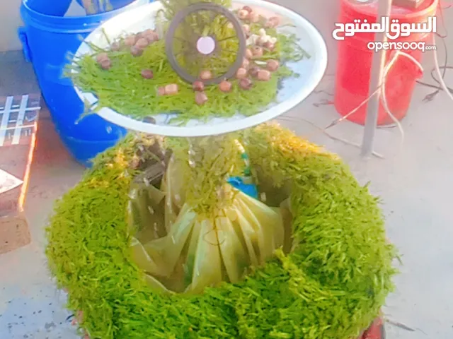 أضف لمسه جميله لحديقة منزلك نافوره جميله صنع يدوي بإتقان مناسبه لجميع المساحات