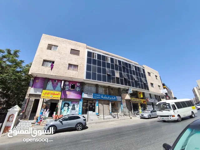 شقة + ستوديو للايجار