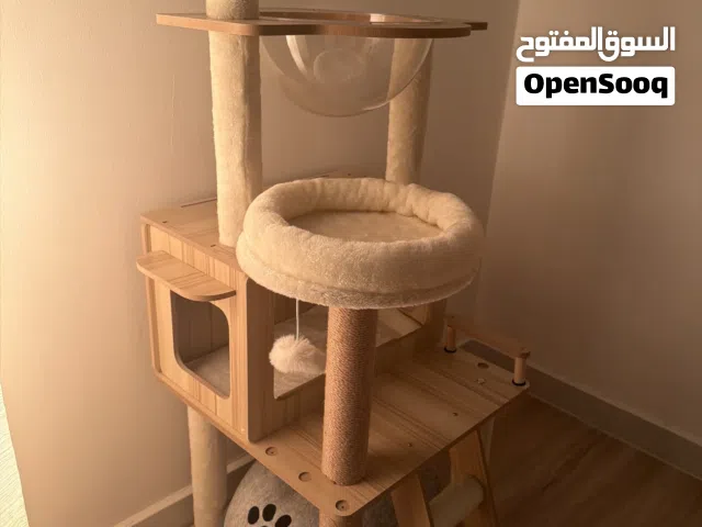 شجرة قطط للبيع