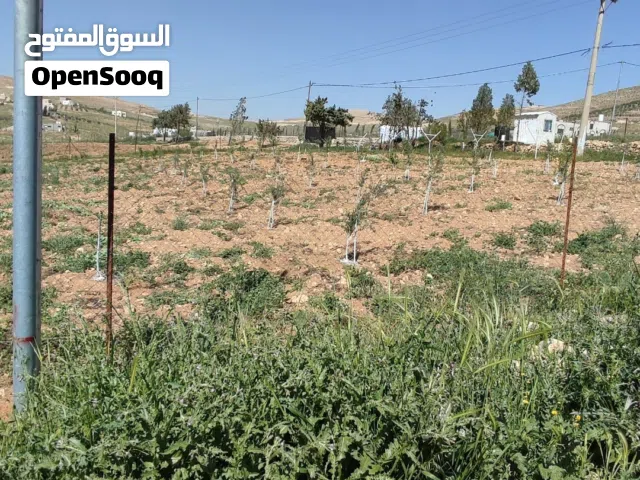 قطعة ارض في بلعما