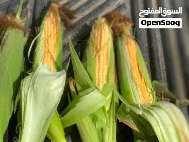 سبول للبيع درجة أولى