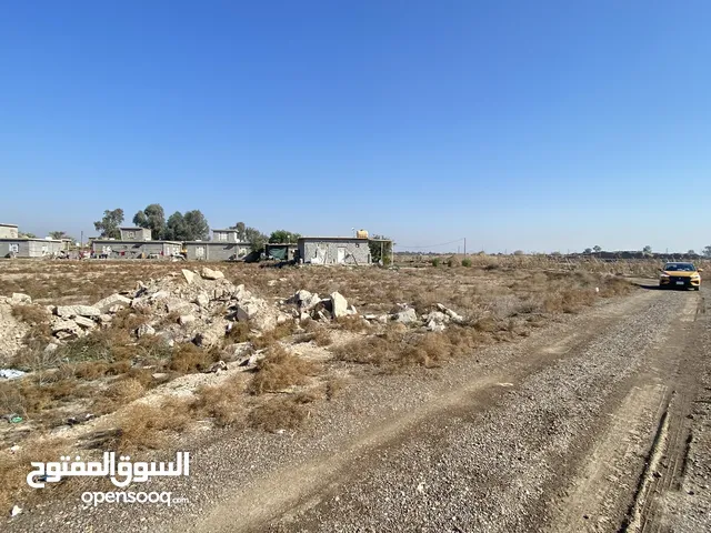 Farm Land for Sale in Baghdad Taji
