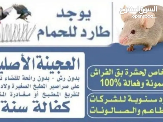 مكافحة حشرات وقوارض
