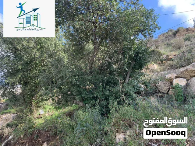 ستوديو داخل شقه للايجار شارع القدس مقابل فندق البيره السياحي