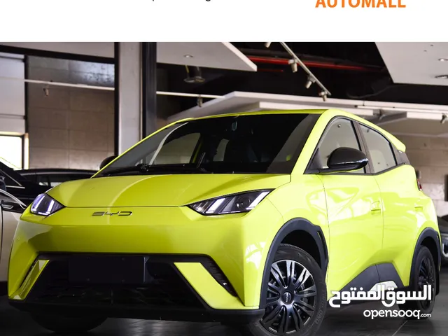 Used BYD Seagull in Amman