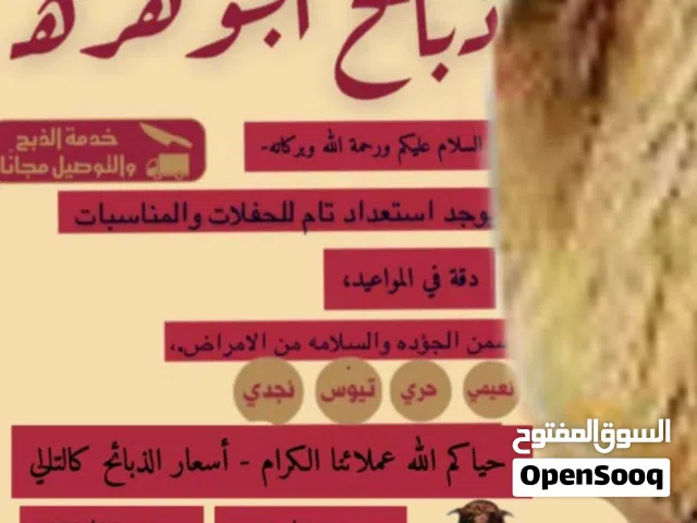 ضحاياء للبيع