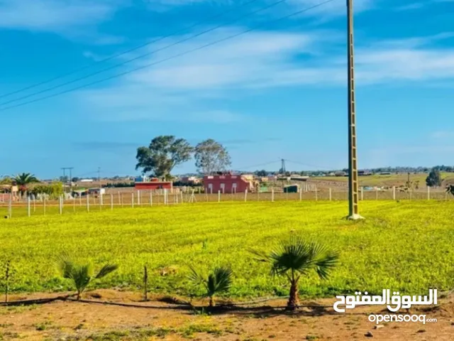 Mixed Use Land for Sale in Bouznika Other